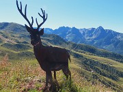 Laghi alti di Foppolo ad anello via Passo-Cima di Valcervia- 5 agosto 2025  - FOTOGALLERY